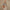 Banner promocional